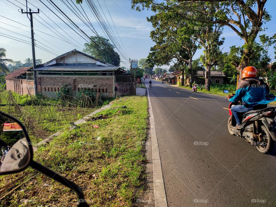 Motorists cross the highway which is decorated with large trees when the morning sun is shining