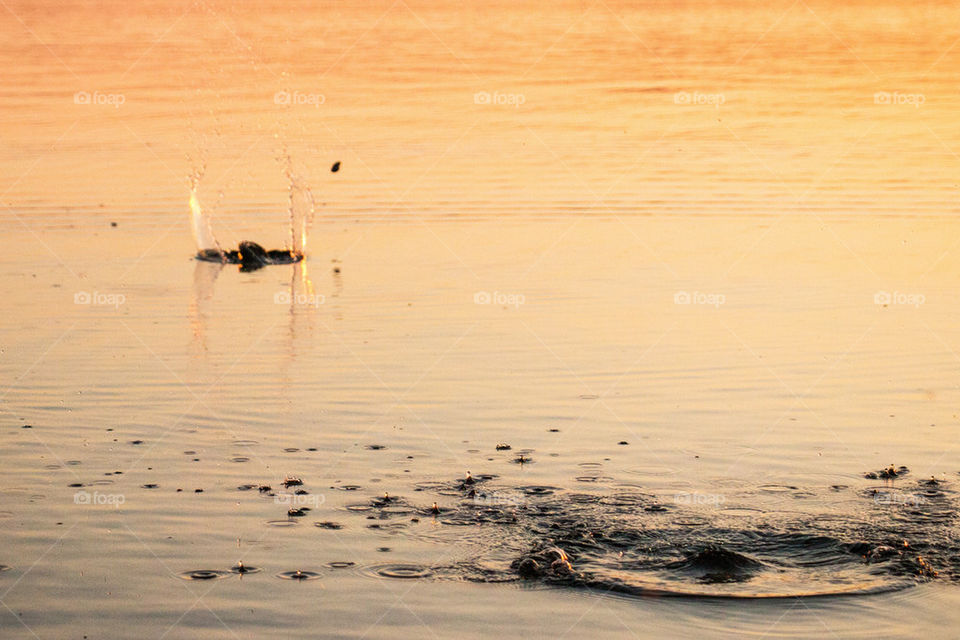 Rocks skipping at lake Starnberg