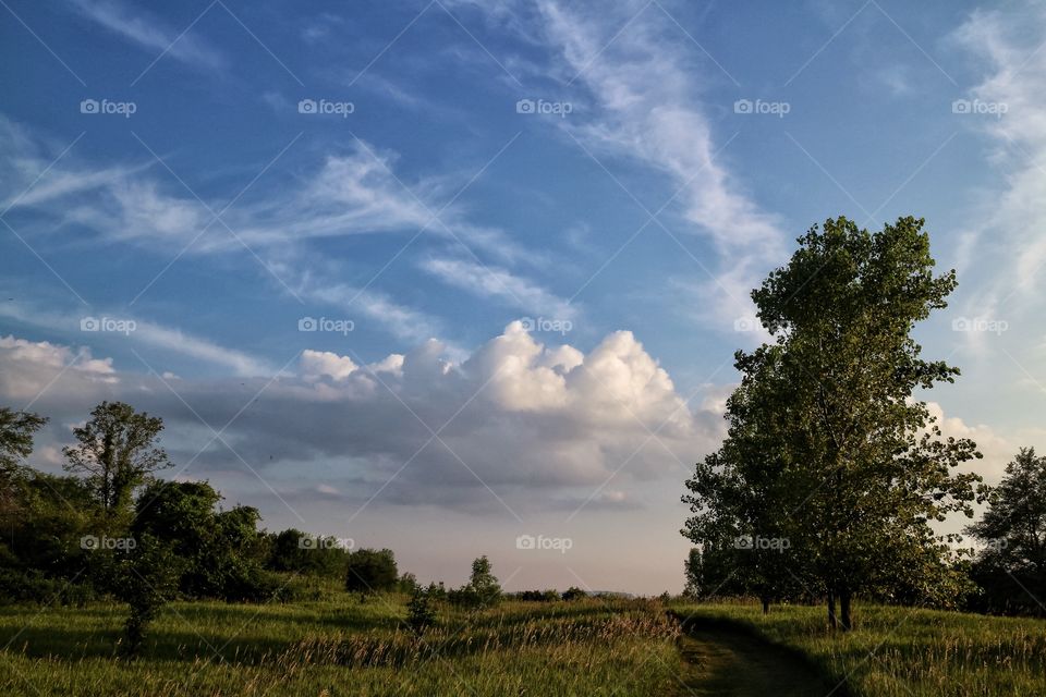 Summer Hike in Wisconsin 