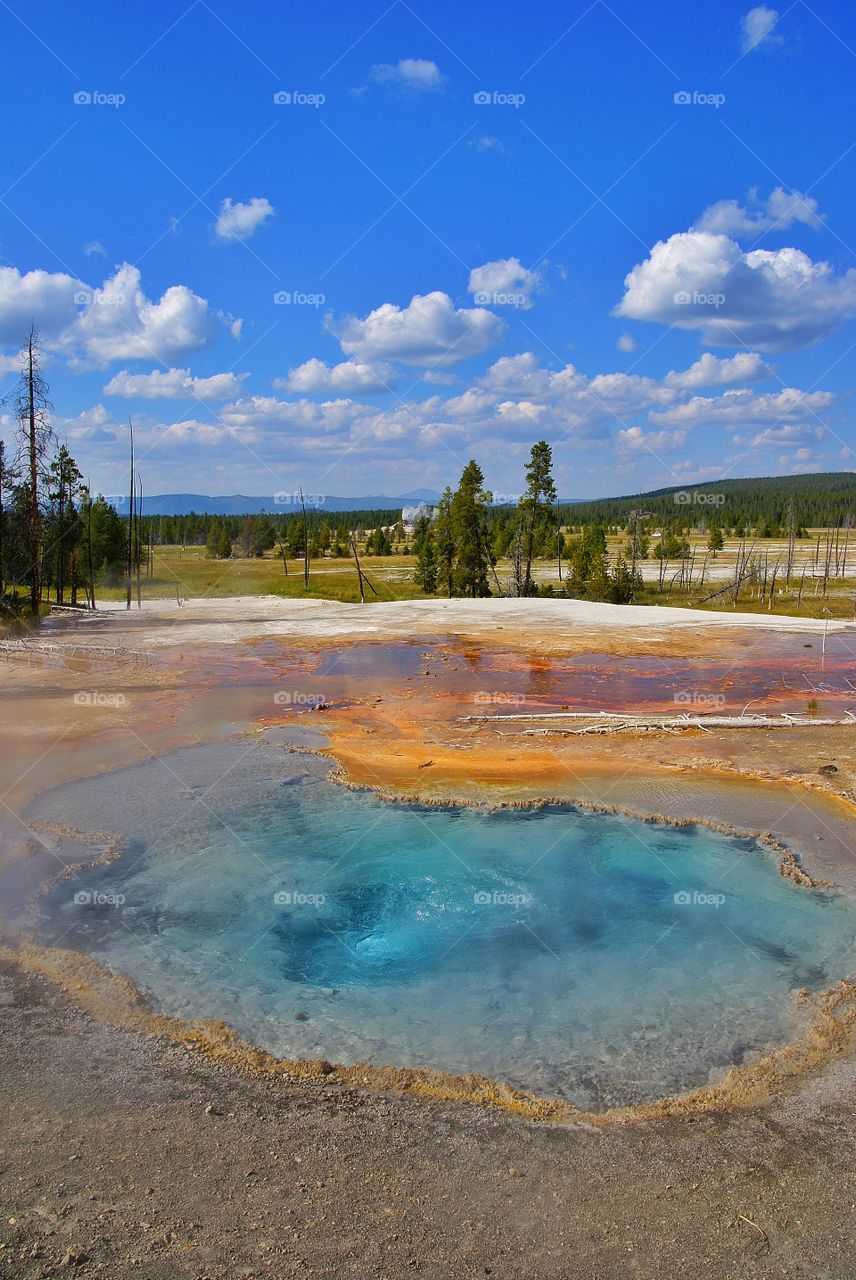 Yellowstone