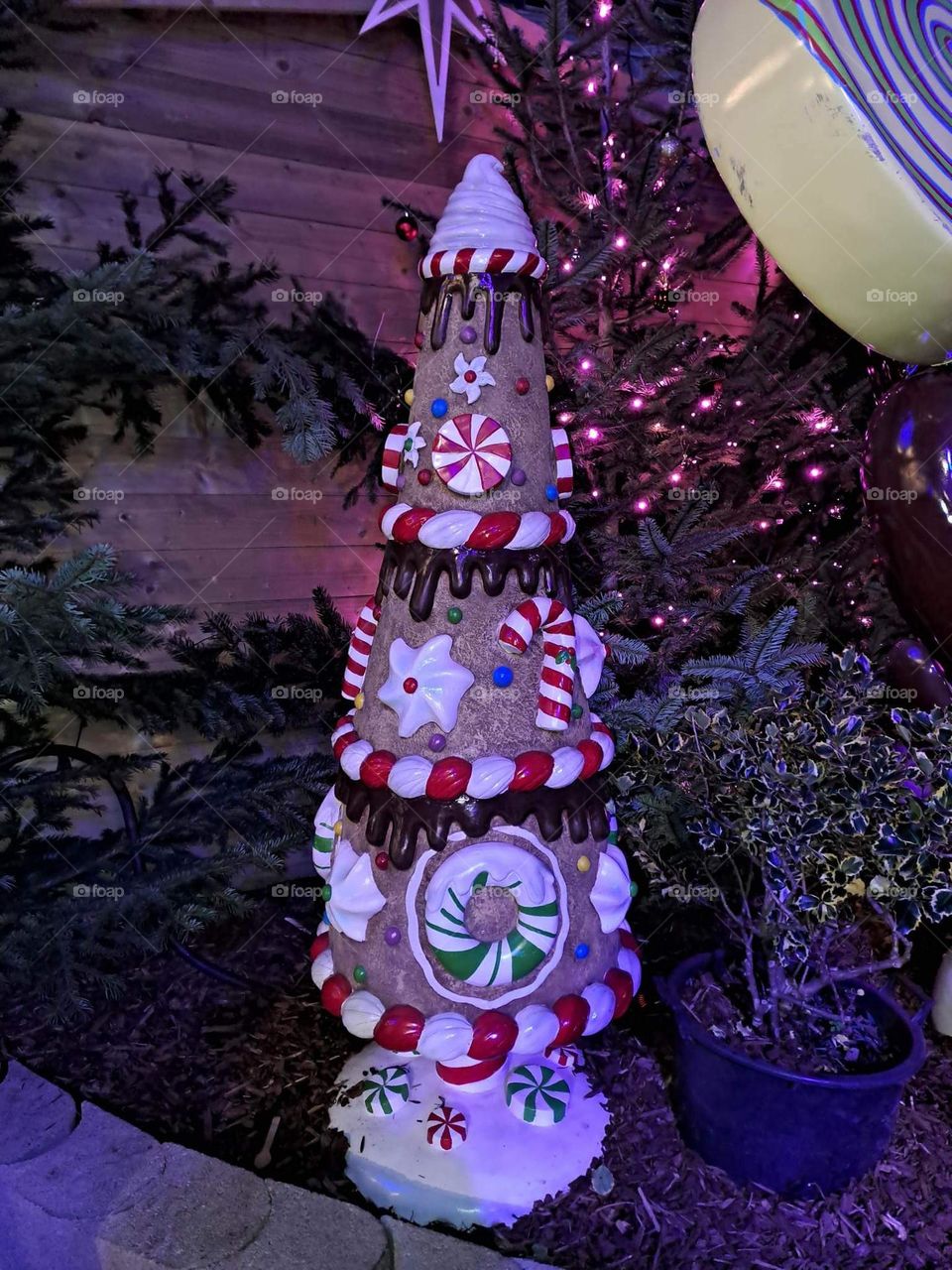 Mons Christmas market