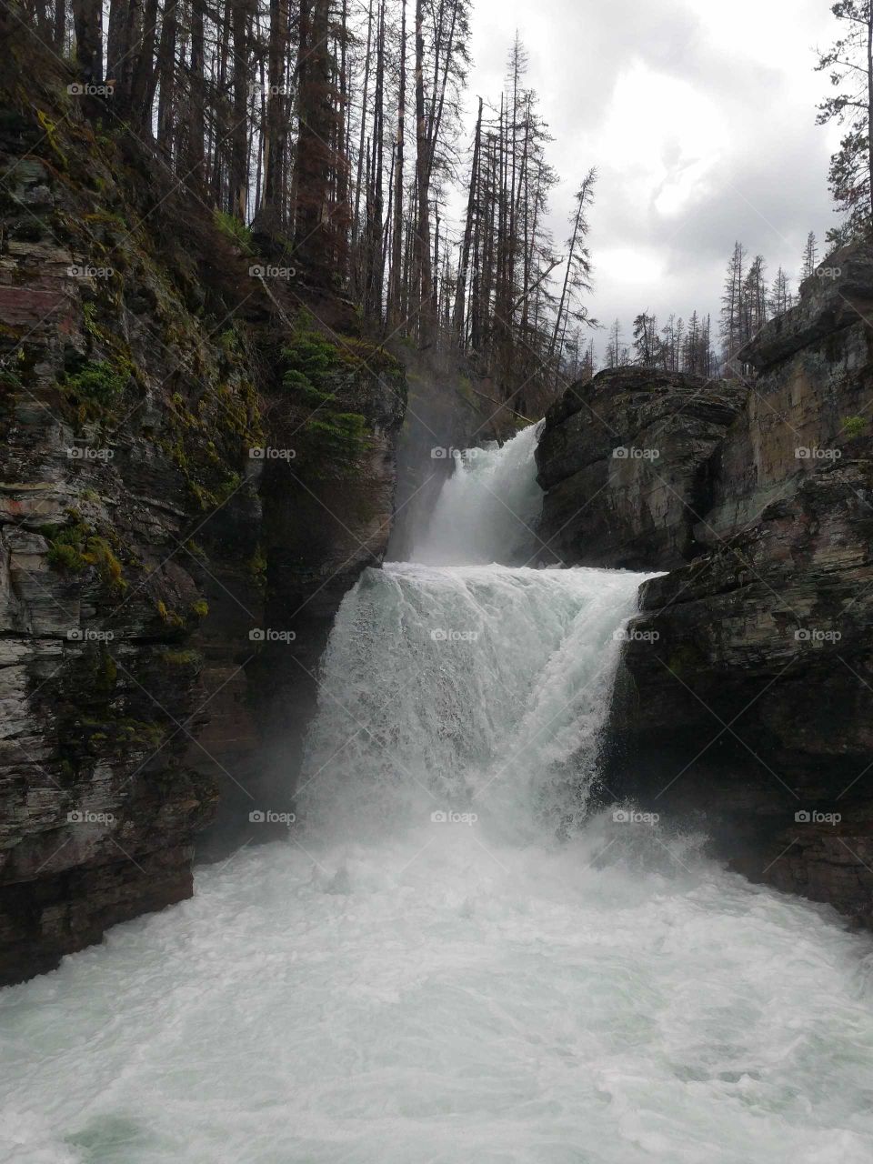 Rushing Waterfall in Glacier National Park in Montana