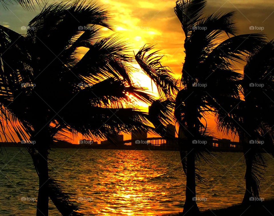 Key Biscayne Sunset. Took this sunset over looking the business district and a bridge.