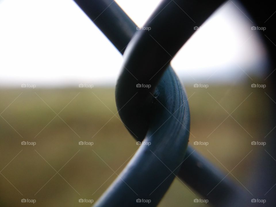 Picture taken with my smartphone and macro lens.