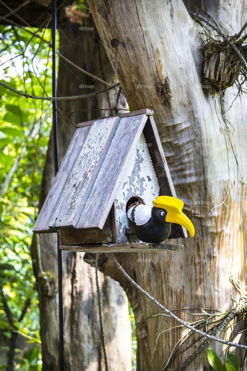 Bird house and wooden bird