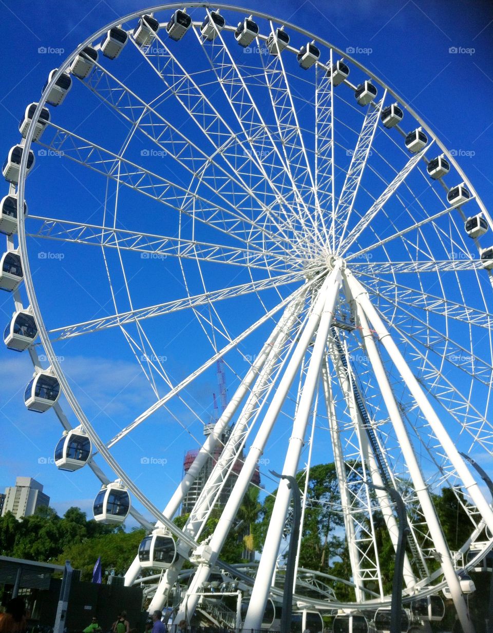 Wheel . It's a beautiful man made thing! 