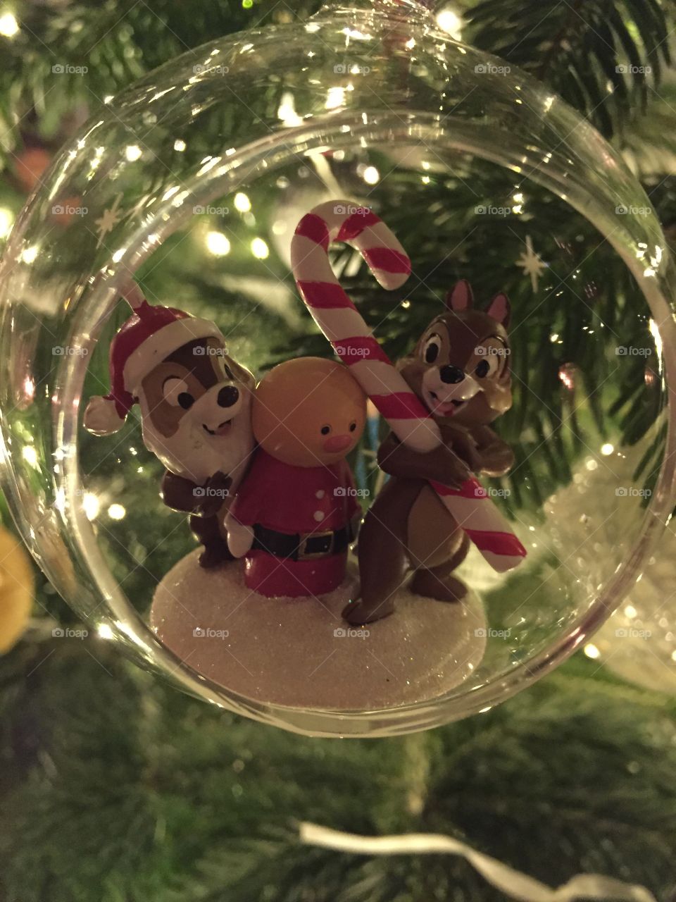 The mist wonderful time 