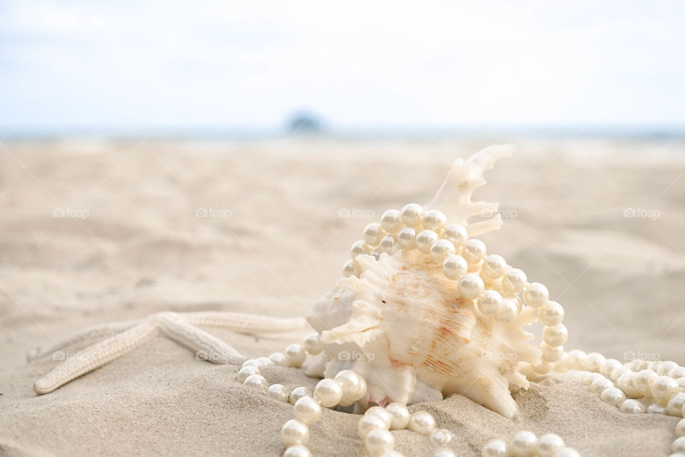 Pearl oyster in the sand with starfish, summer vacation concept