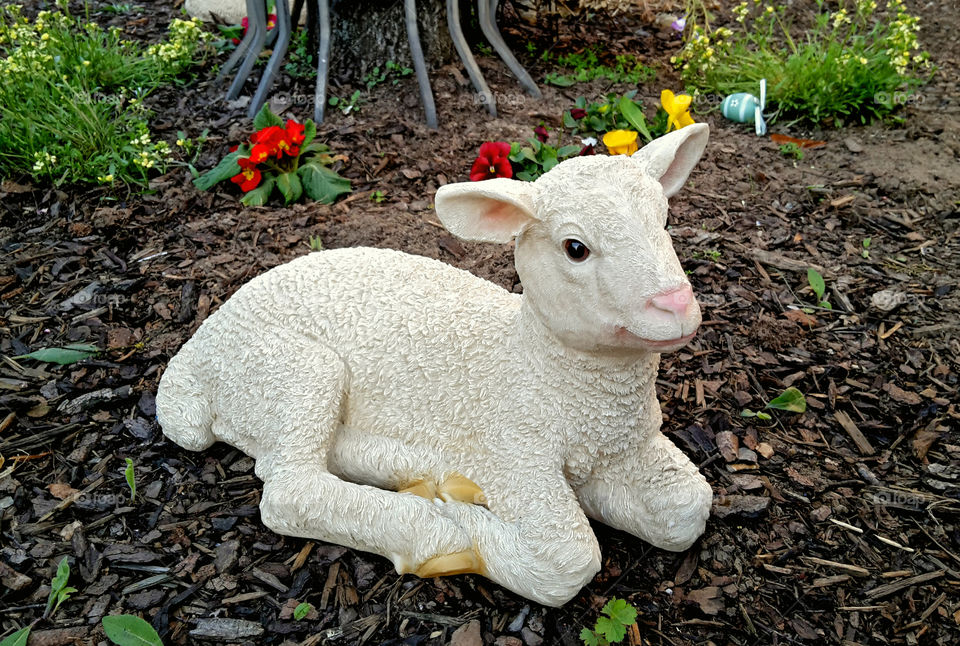 plastic lamb. Lying.