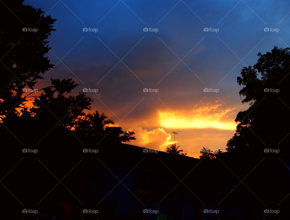 Sunset with silhouette