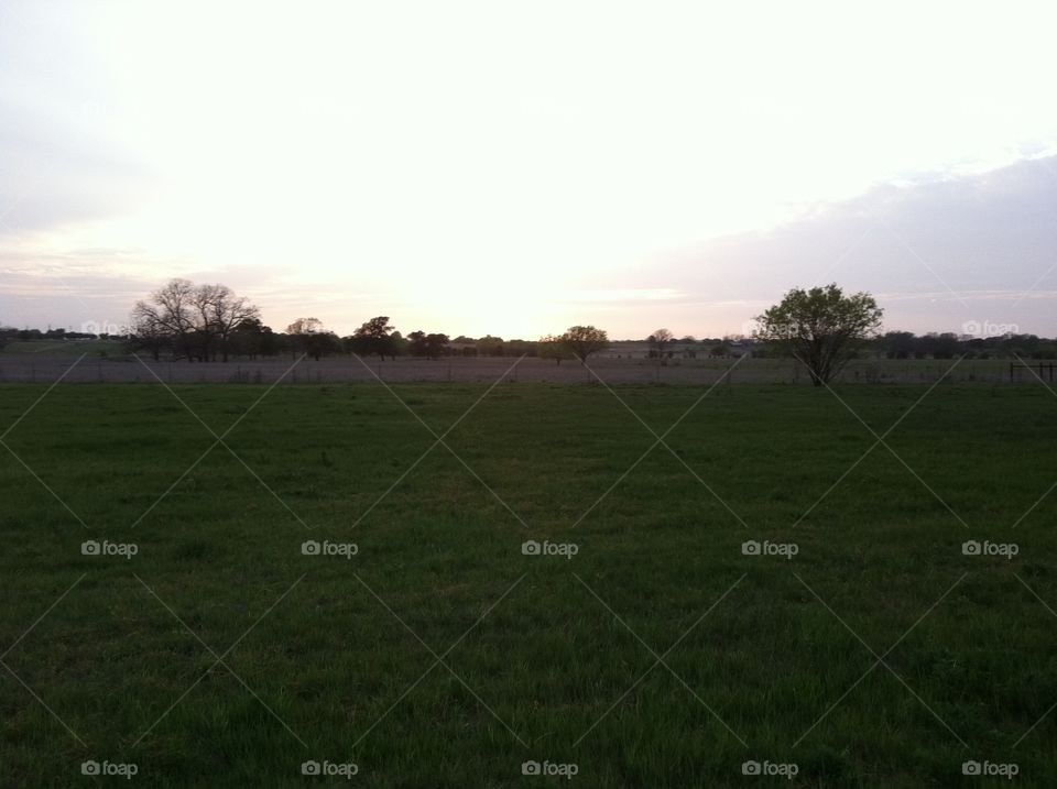 Field in Texas. 
