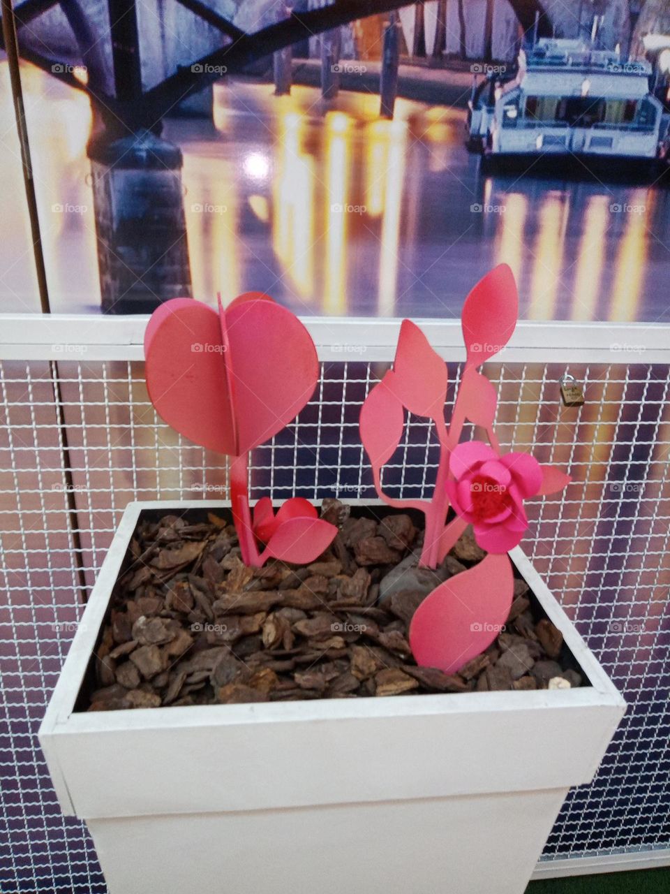 O encanto das flores