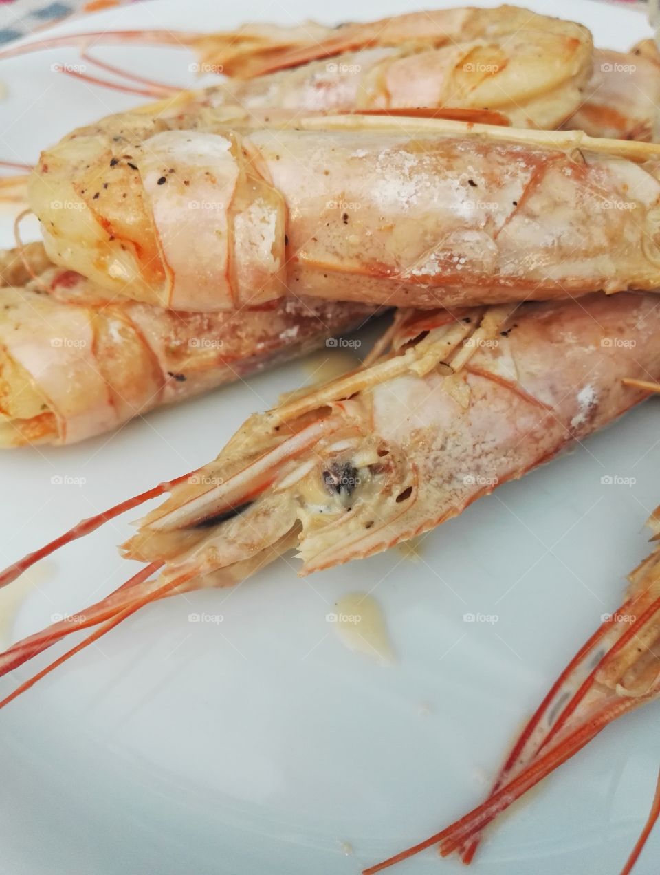shrimps closeup