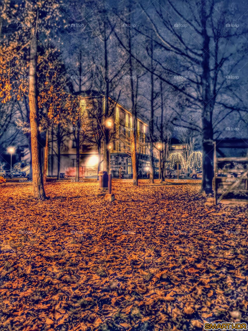 Autumn Evening