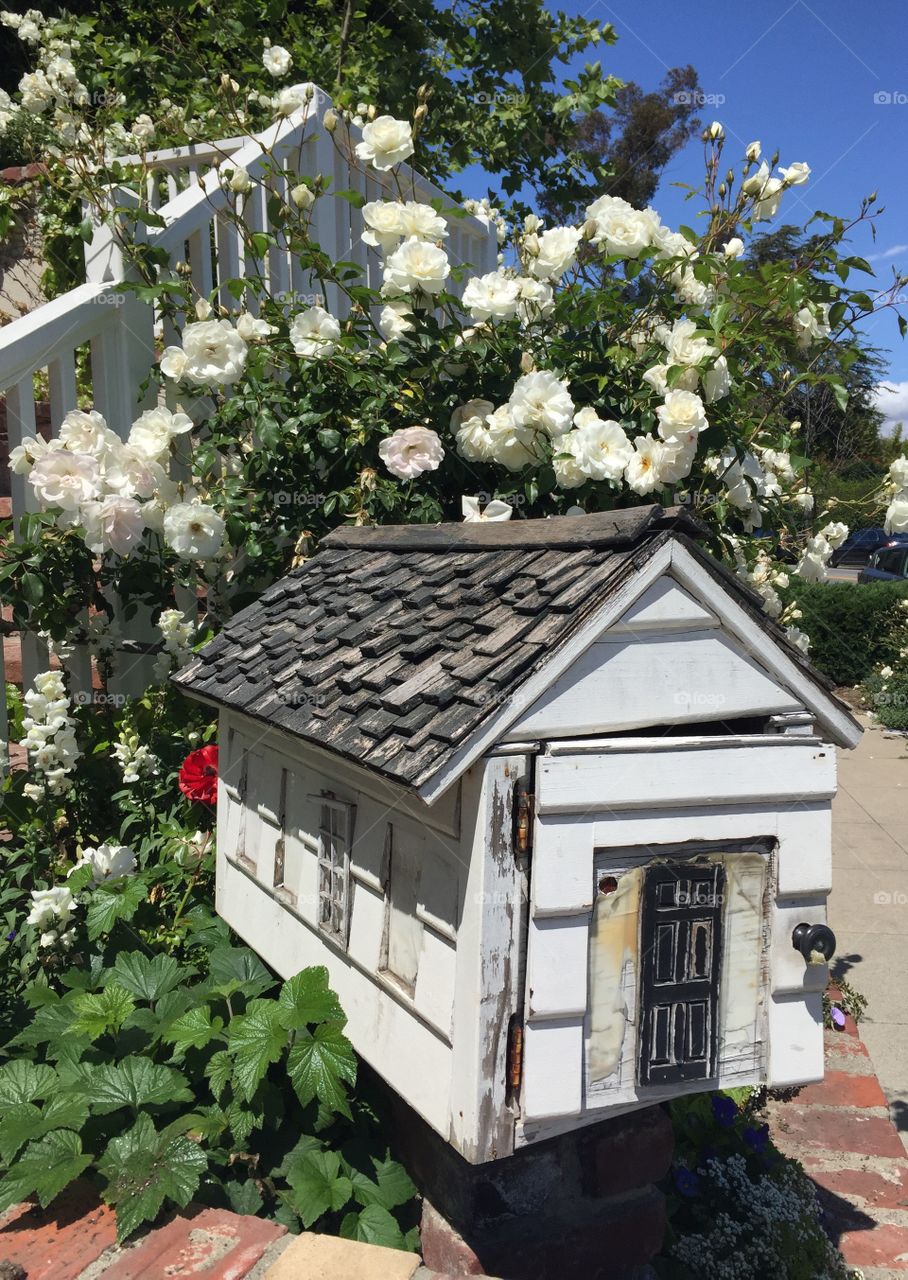 Montana Ave Mailbox