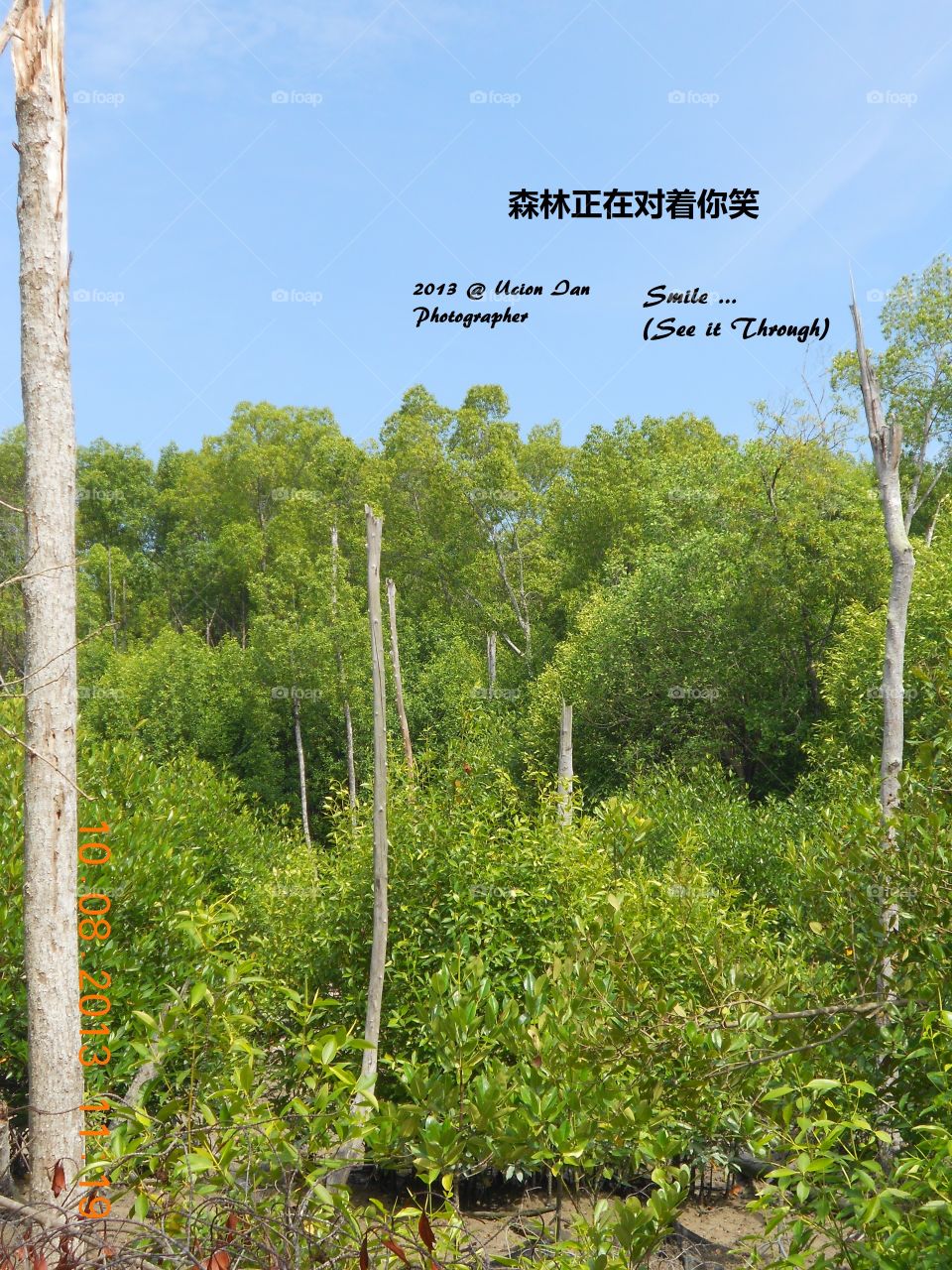 Smiling Forest-微笑D森林. If U feel Angry, U will seeing The Forest is Smiling. And If U Happy, U won't See It.
当你正在生气,你会看见森林对你微笑,要你放松一心情,别老生气。