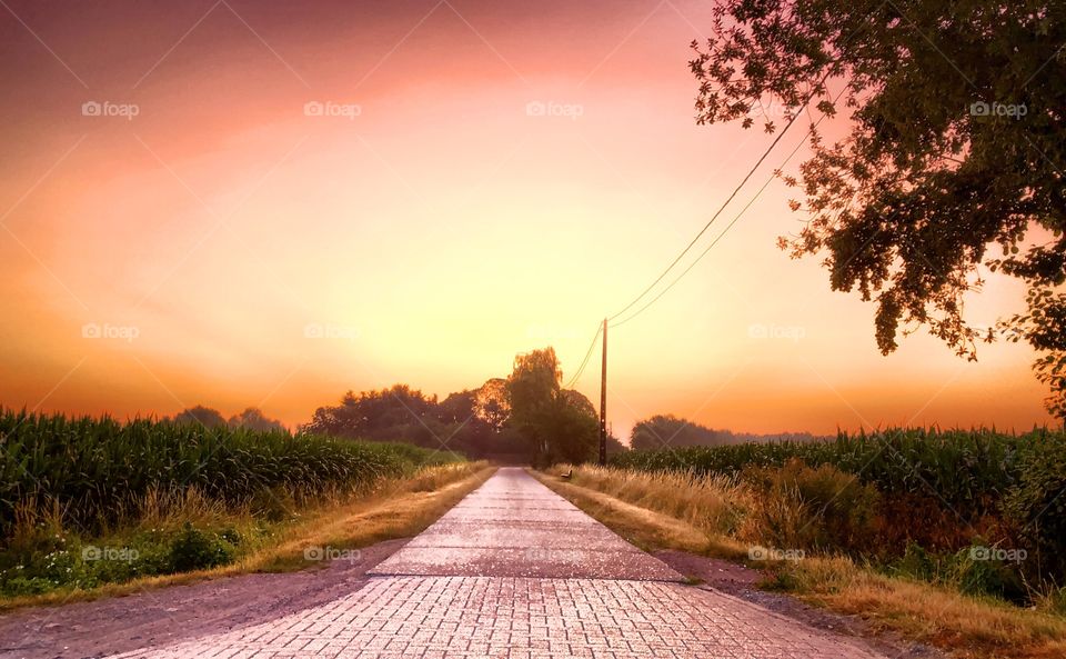 Orange red sunrise glow over a Countryside Road at dawn 