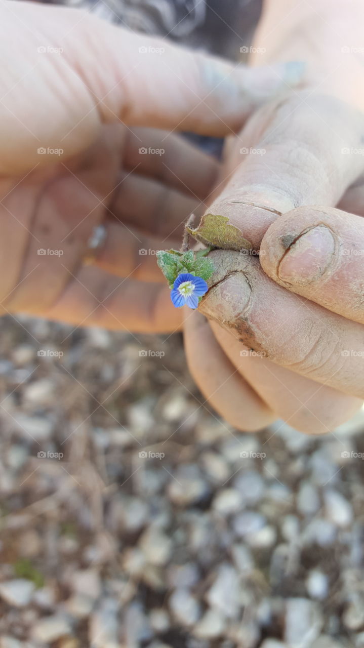 my son was helping me move rocks and he found this for me