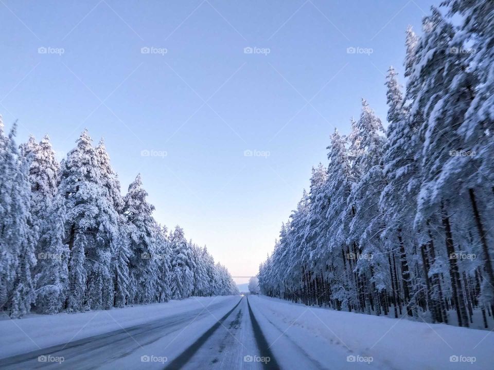 Road in a winter afternoon