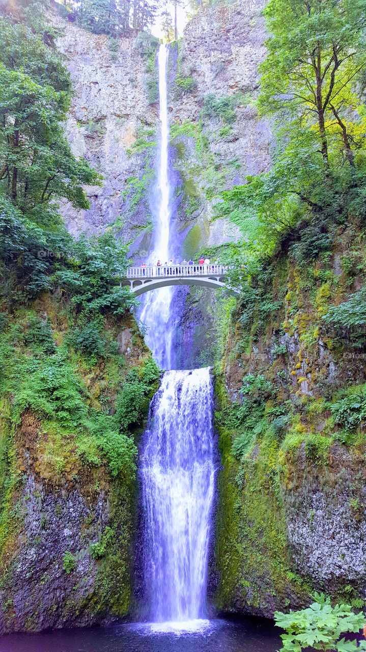 Multnomah falls