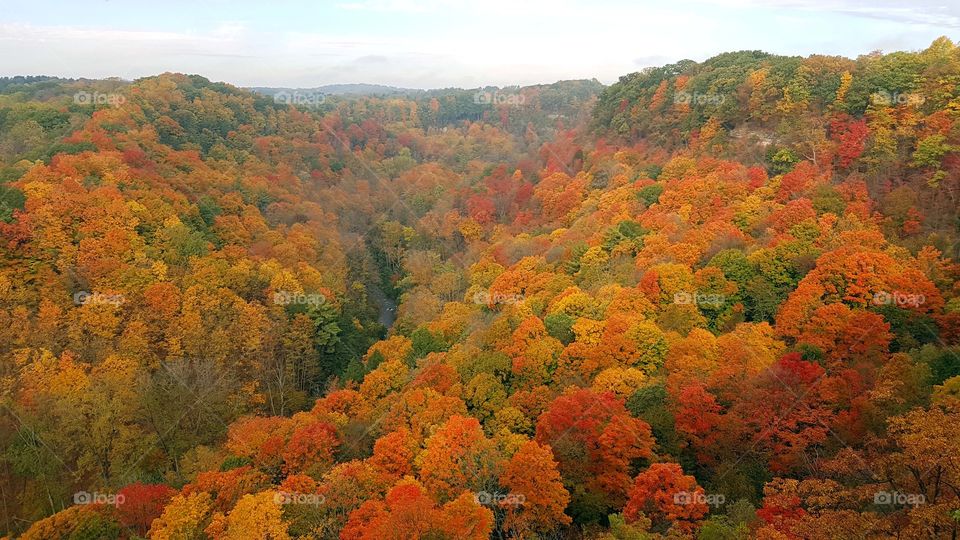 Magnificent autumn view