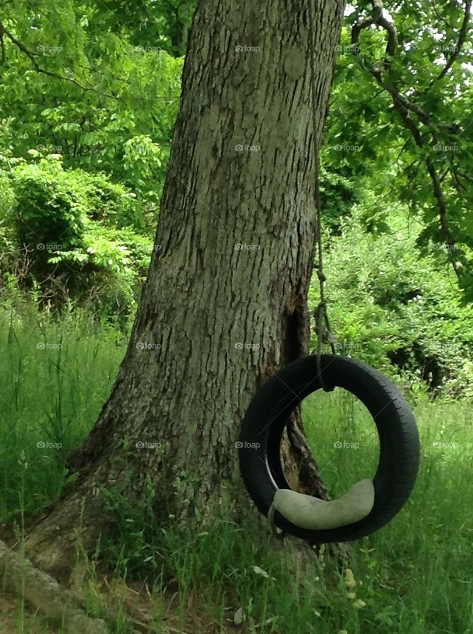 Nature tire swing