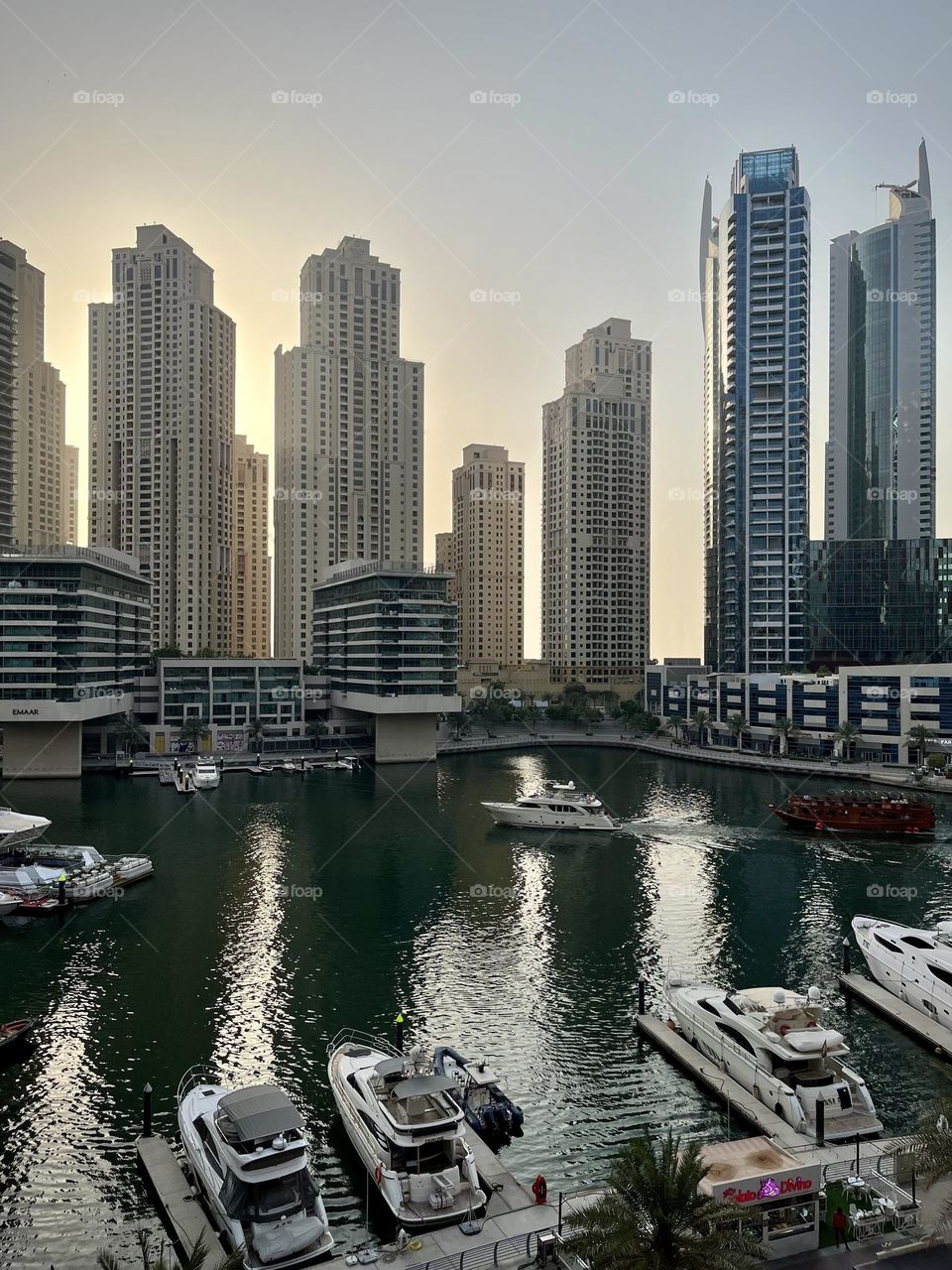 Dubai marina 