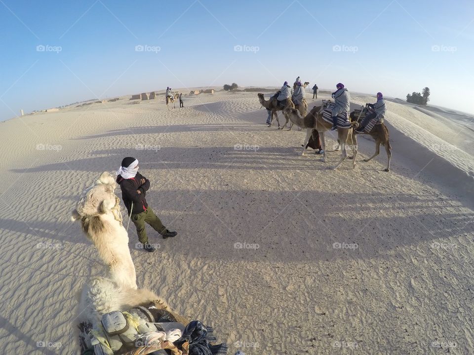 Camel ride in the Sahara desert