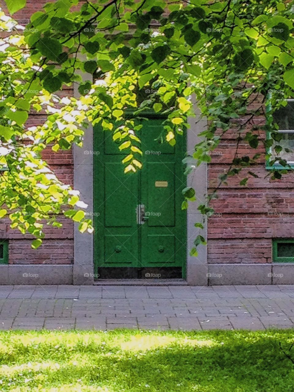 Green wooden door