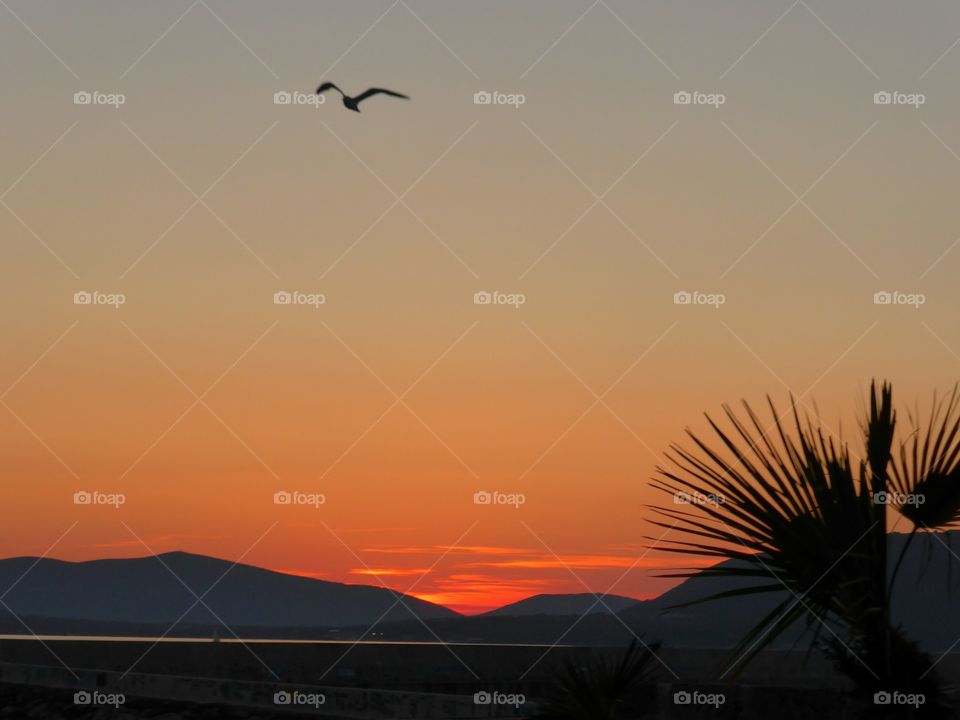 silhouettes in the sunset