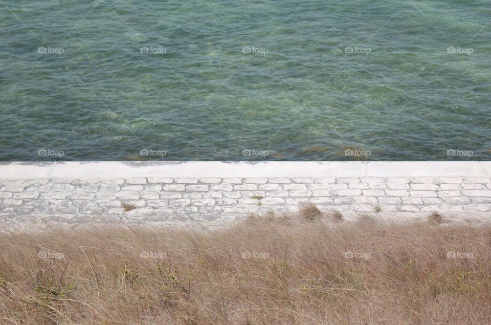 Shoreline in the Florida Keys.