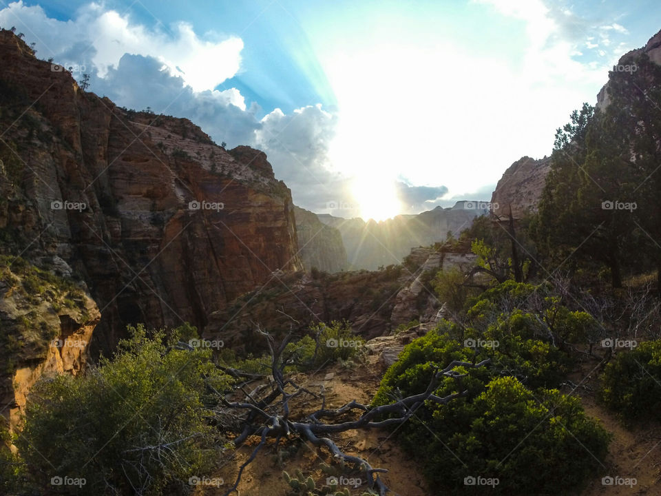 overlook canyon