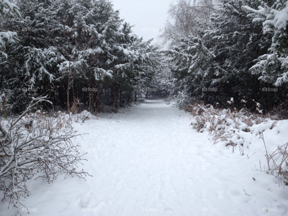 chistlehurst england winter snow covered woodland by yeenlightened1