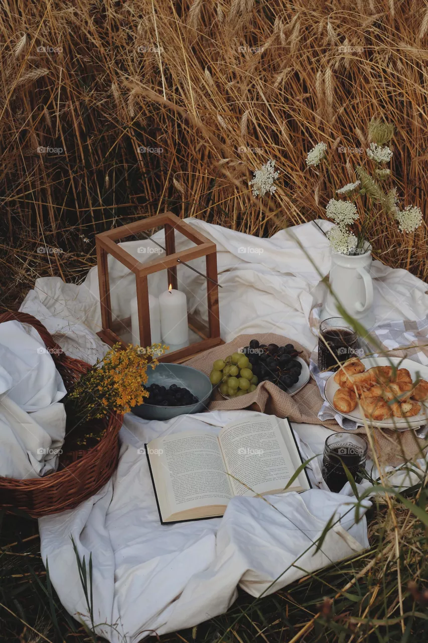 Sentimental Picnic
