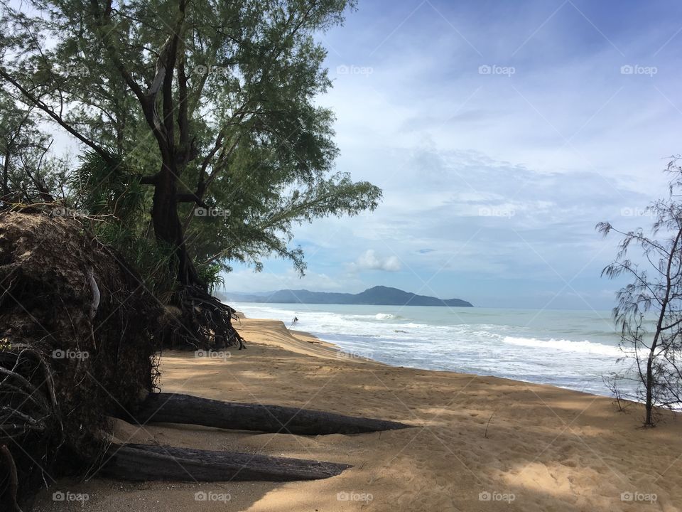 Fallen tree on yellow sand beach in Thailand