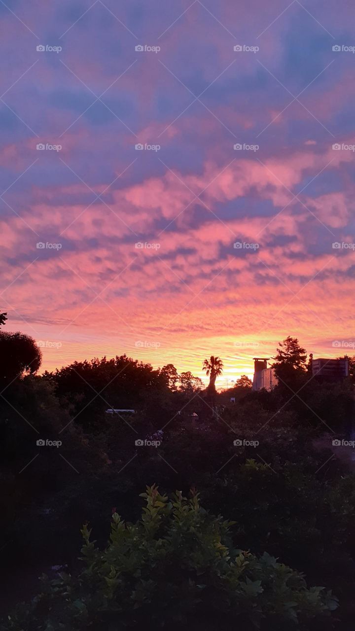 colores del atardecer