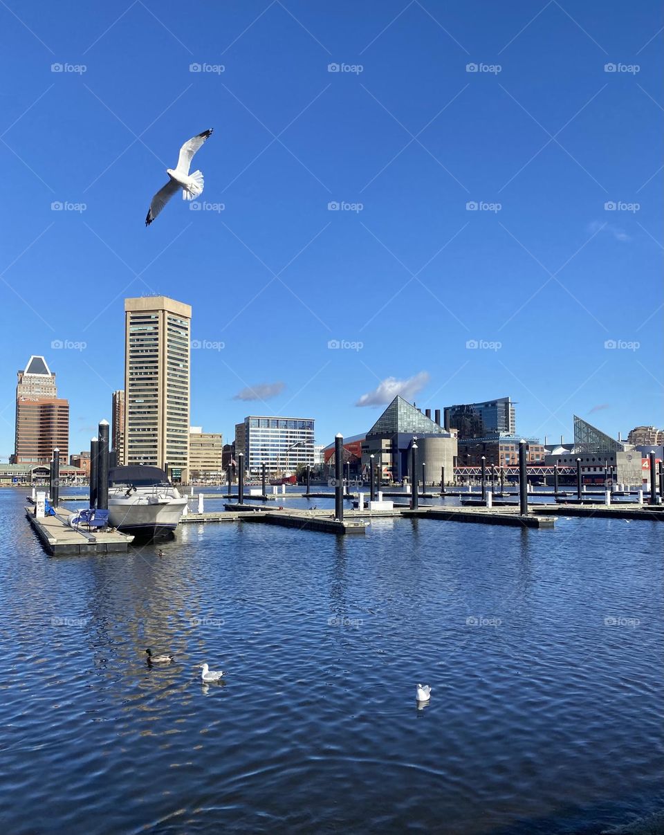 Inner harbor Baltimore 