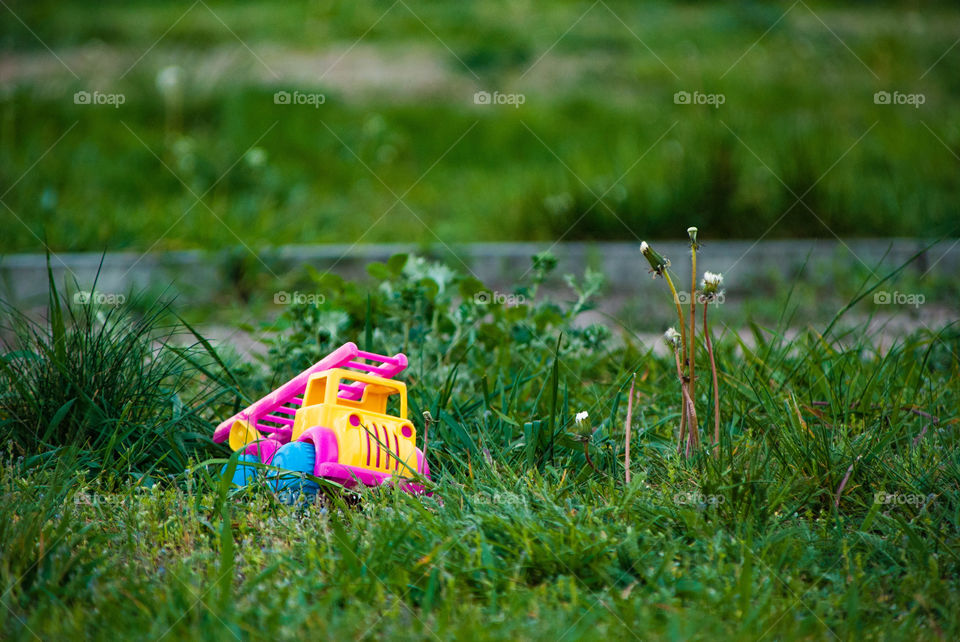 Toy on grass