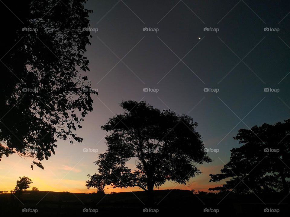 The moment when the sun goes down and the moon appears, still shy in the sky... The color is magnificent! The silhouettes of the trees give a romantic and mysterious tone to the air.