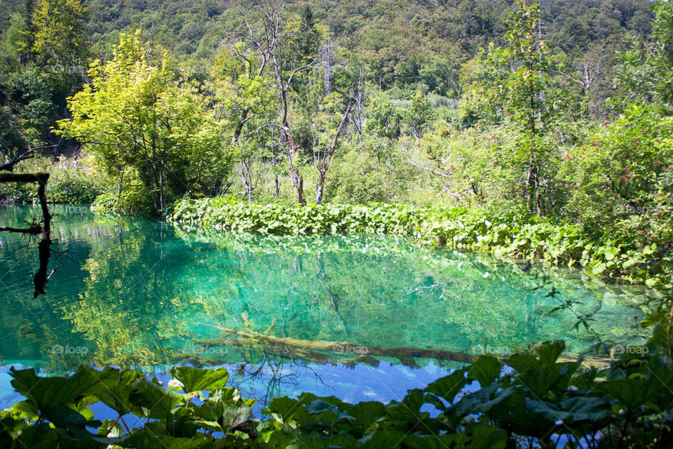 Plitvice National Park