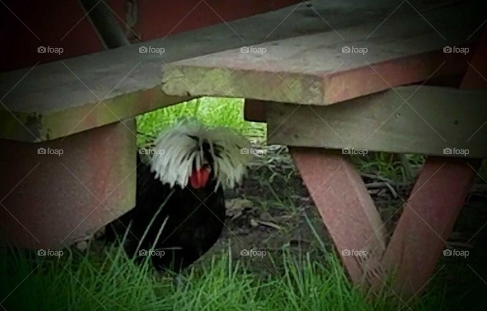 Driving the Back Roads and enjoying everything around us