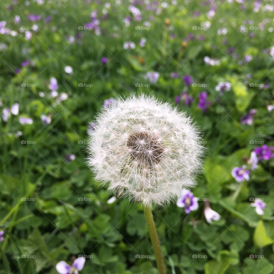 The calm before the storm