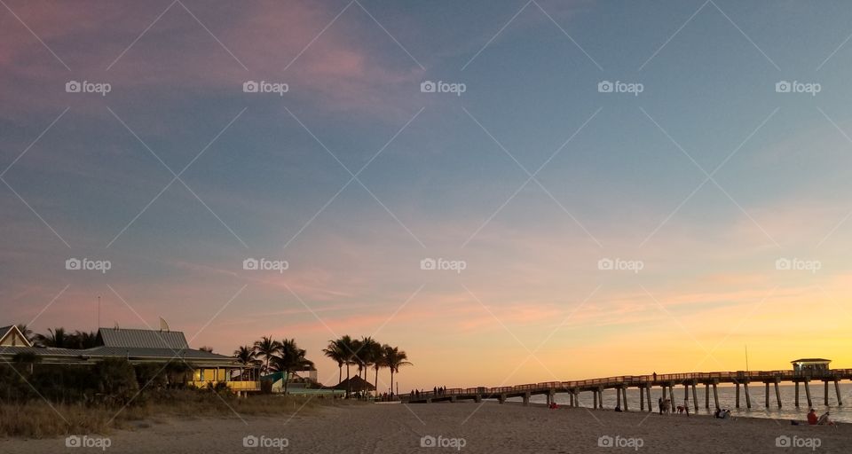 sharky's peir venice,  FL