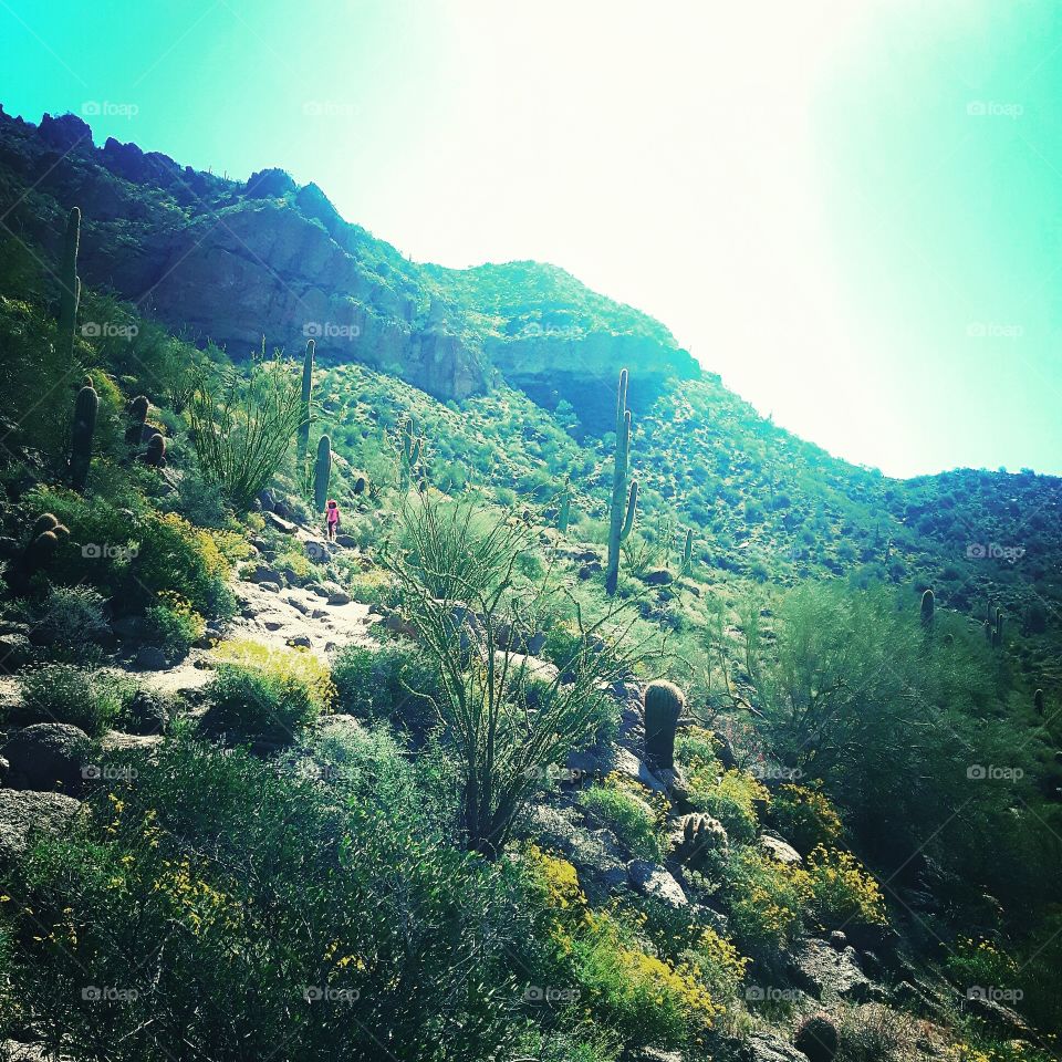 Desert hikes - Ursery Mountain, Arizona