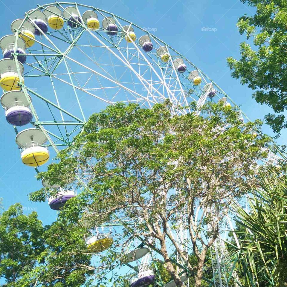 ferris wheel