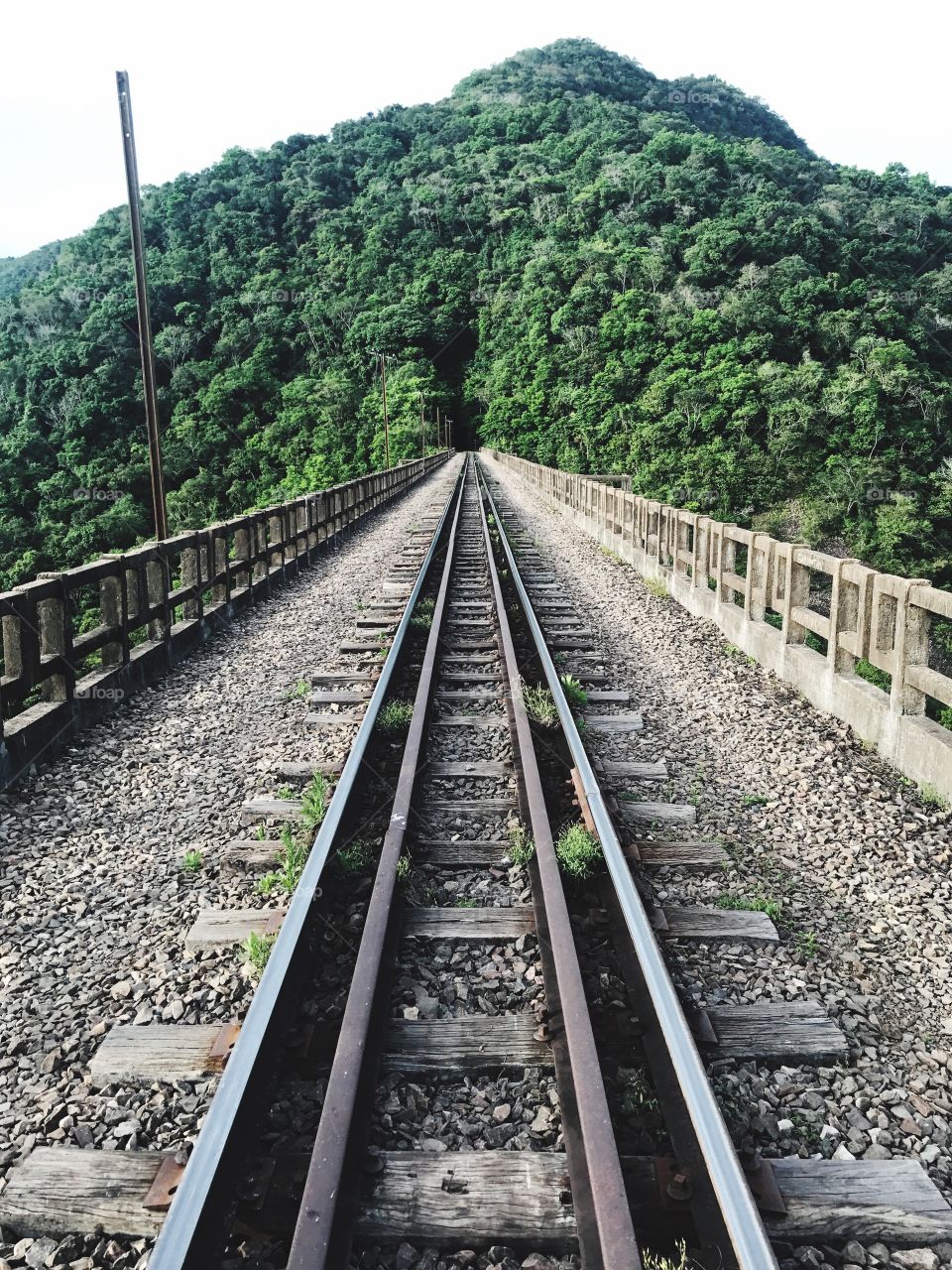 Train track at Viaduct 13 / Brazil - tallest Viaduct of South America 