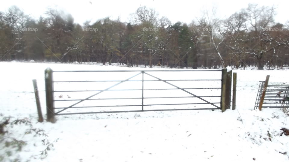 Snow, Winter, Landscape, Cold, Fence