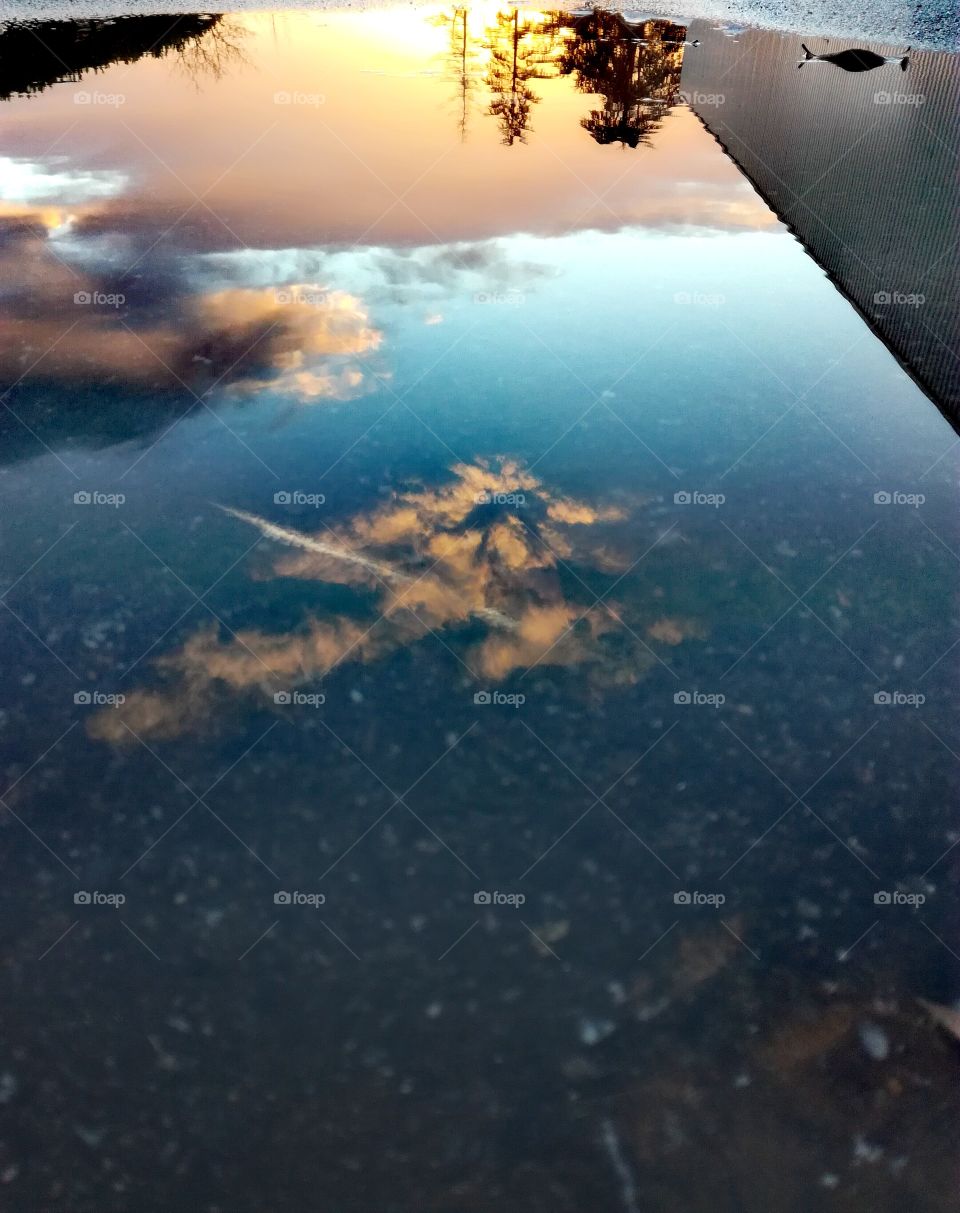 sunset, clouds, sapin, reflet