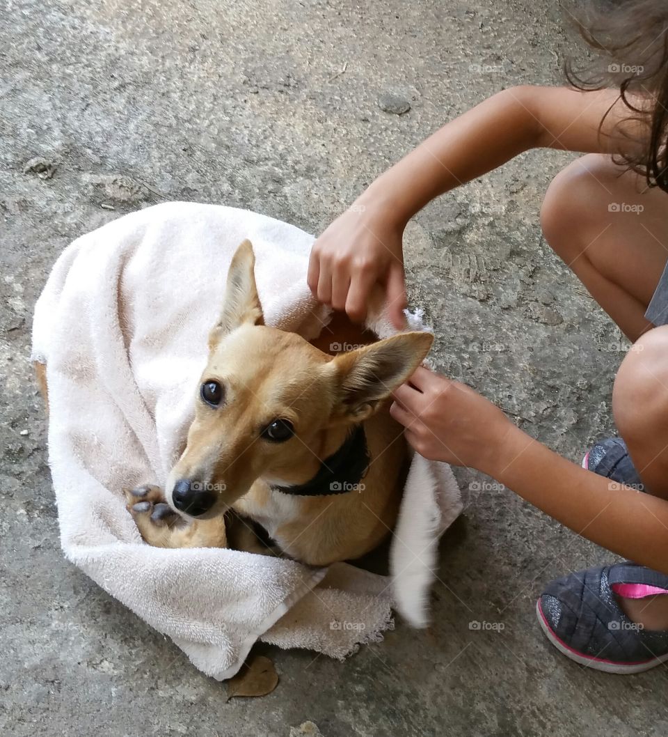 Keeping doggie warm 3