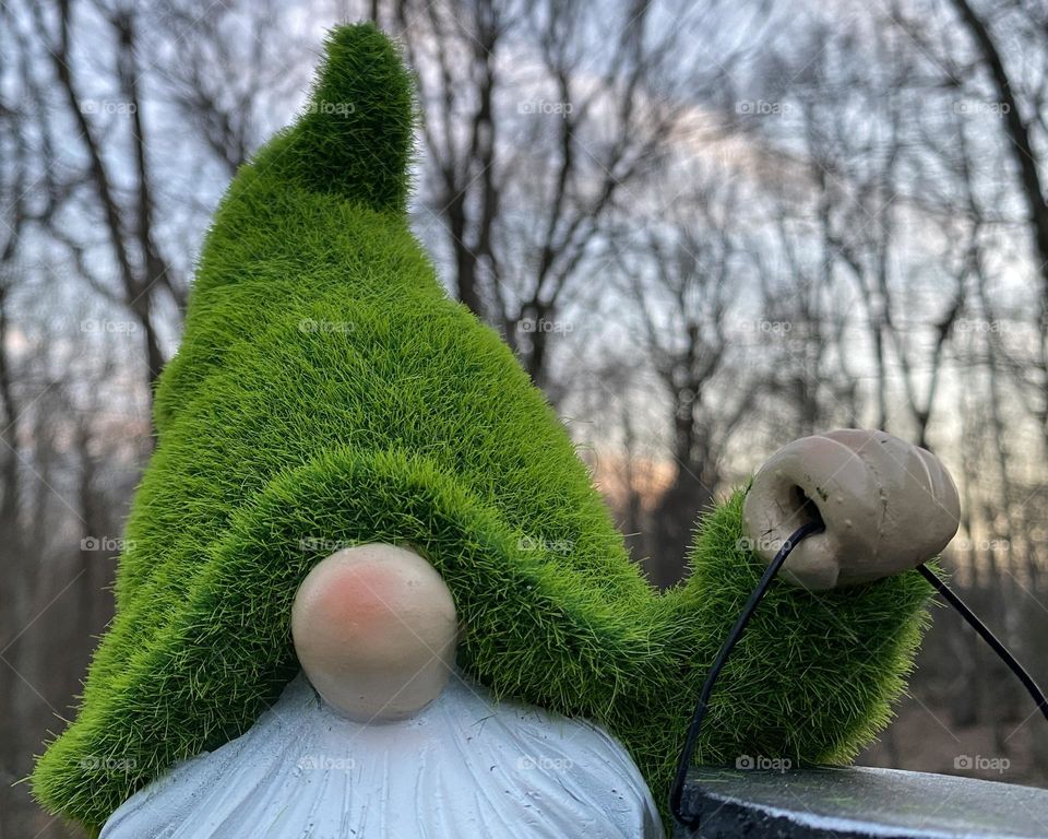 Gnome Hat